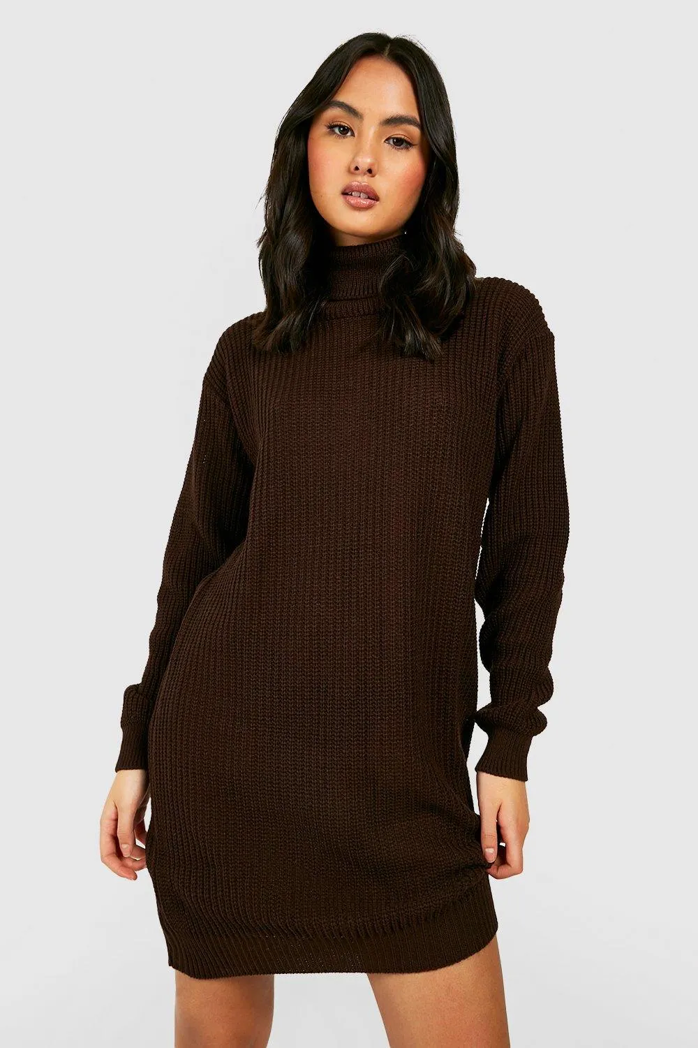 Turtleneck Sweater Dress